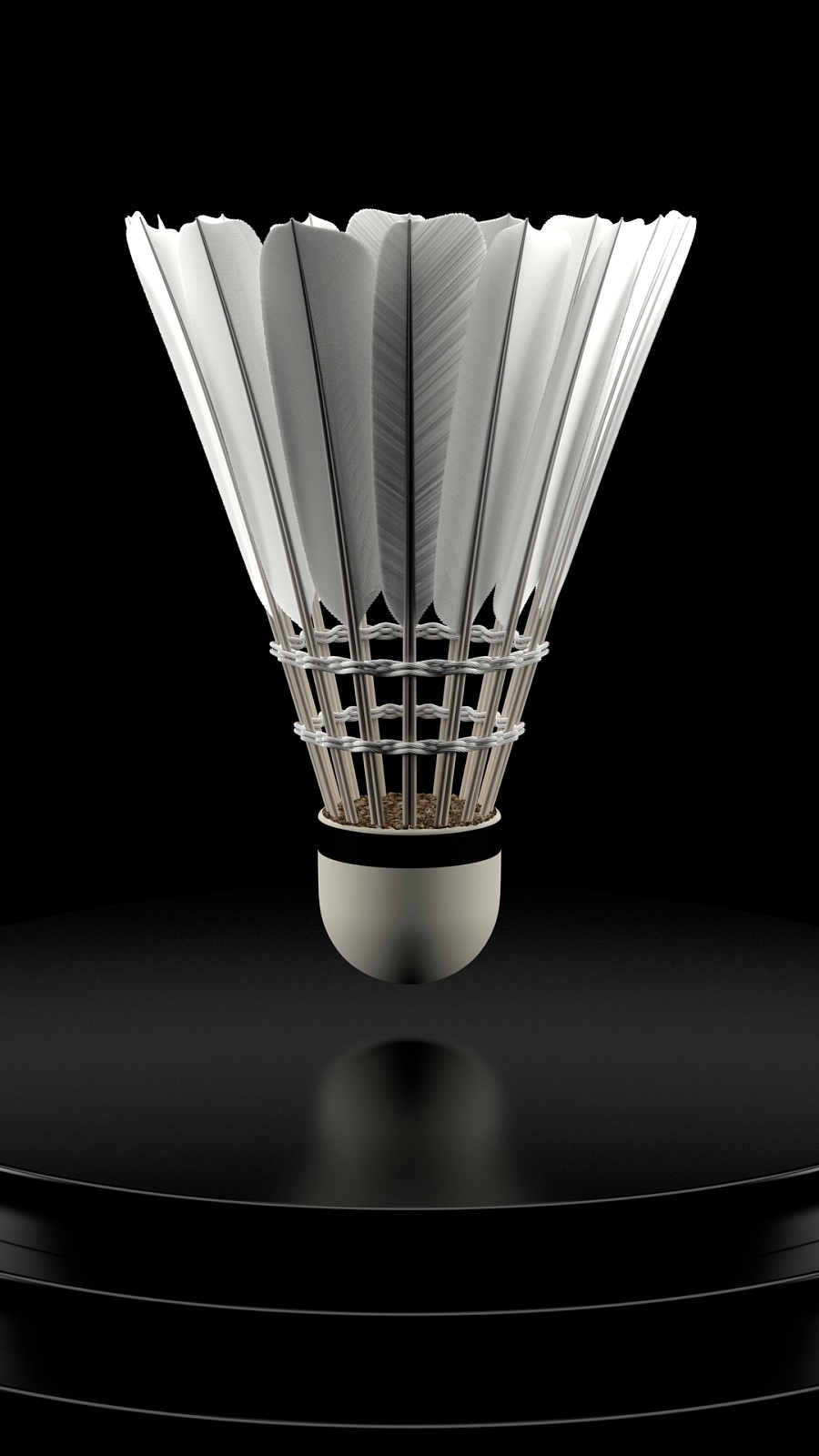 以确保射箭 以确保射箭